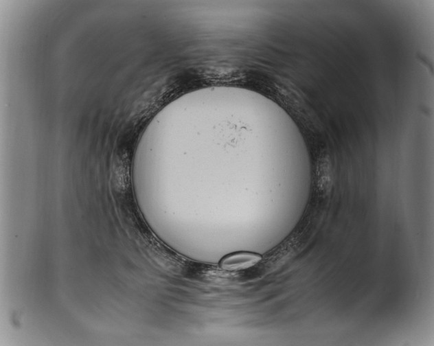 X0000102250515200808081414