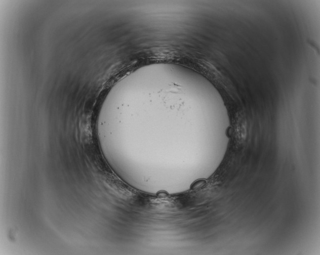 X0000102250516200808081414