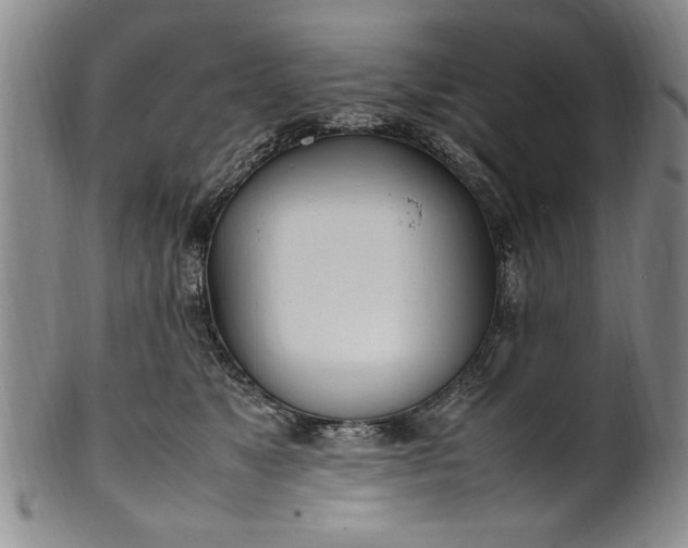 X0000102250517200808081413