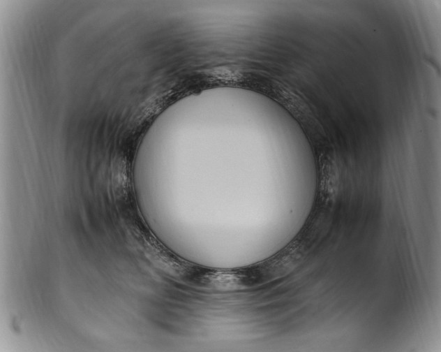 X0000102250518200808081413