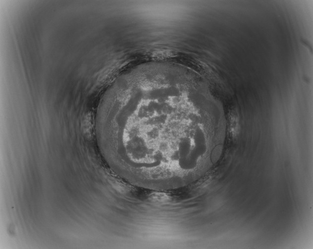 X0000102250519200808081413