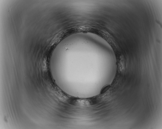 X0000102250520200808081413