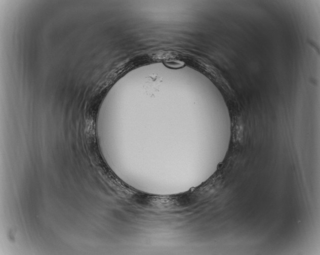 X0000102250521200808081413