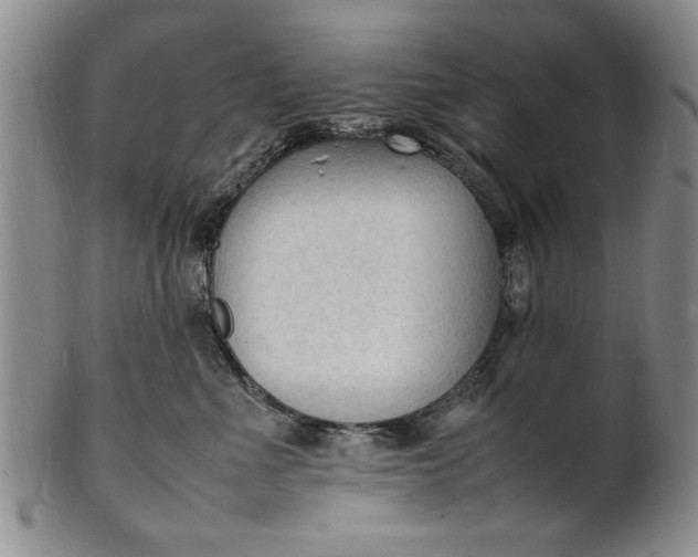 X0000102250523200808081413