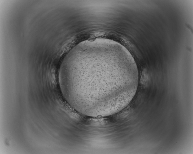 X0000102250524200808081413