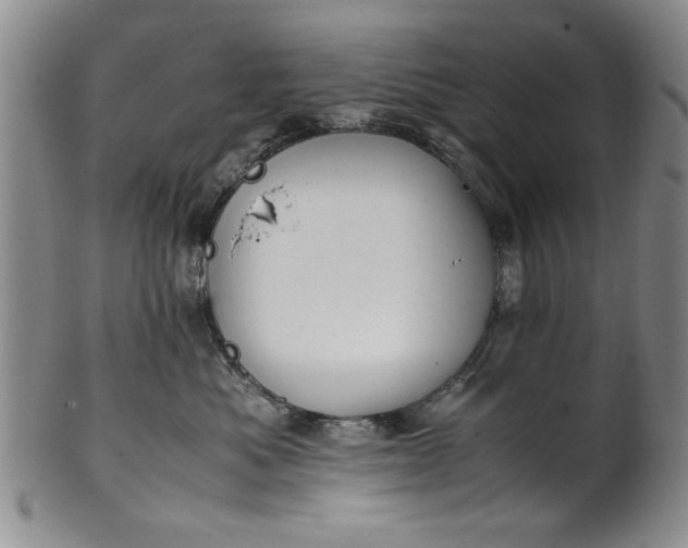 X0000102250525200808081413