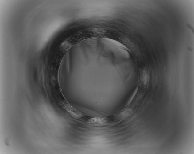 X0000102250526200808081413