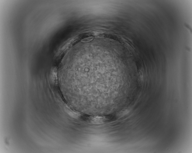 X0000102250527200808081413