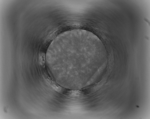 X0000102250528200808081413