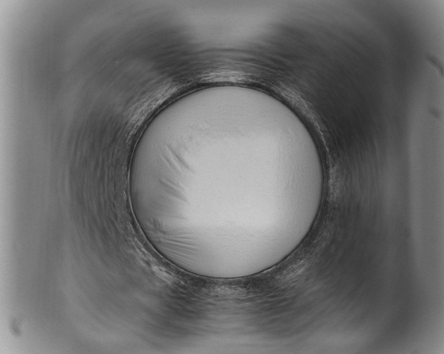 X0000102250529200808081413