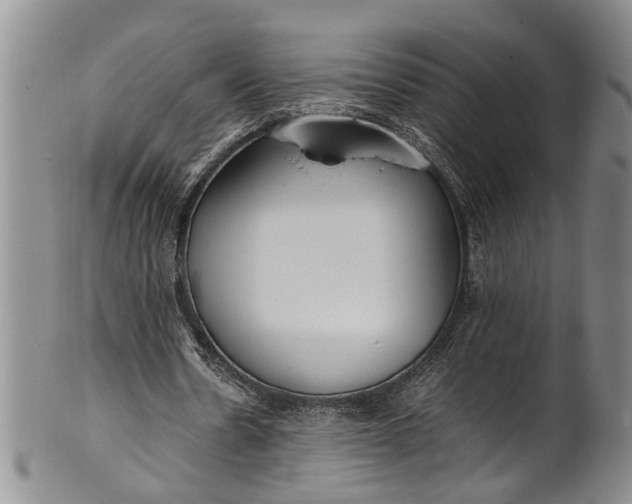 X0000102250530200808081413