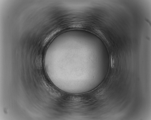 X0000102250531200808081413