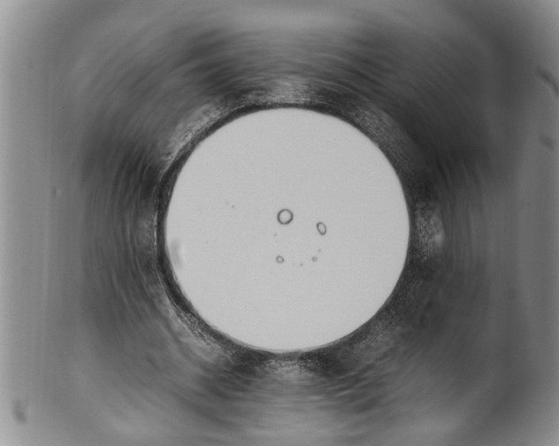 X0000102250534200808081413