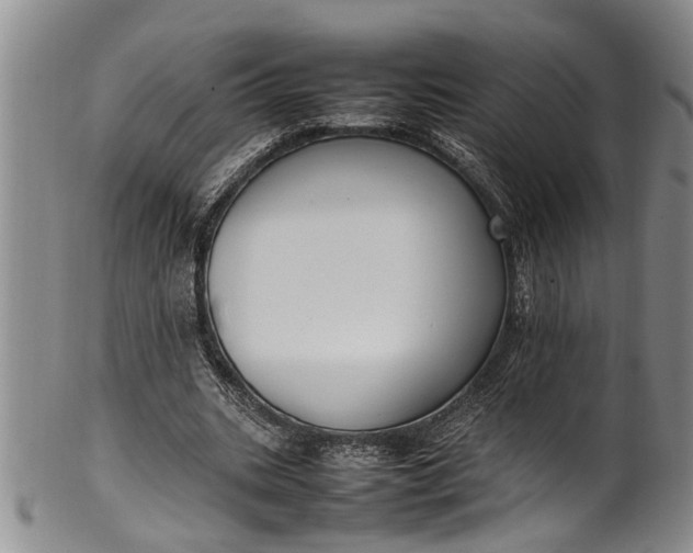 X0000102250535200808081413