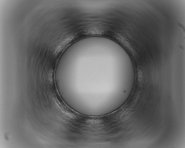 X0000102250537200808081413