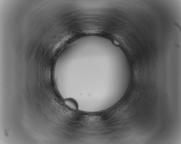 X0000102250539200808081413