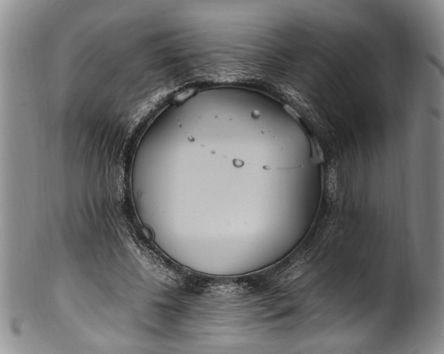 X0000102250540200808081413