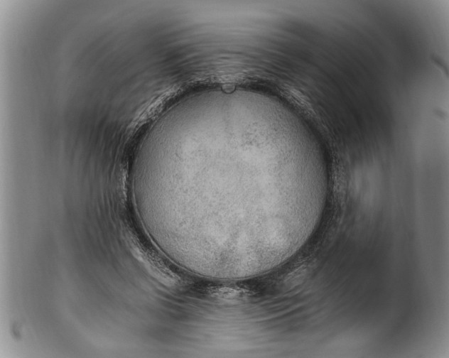 X0000102250542200808081413