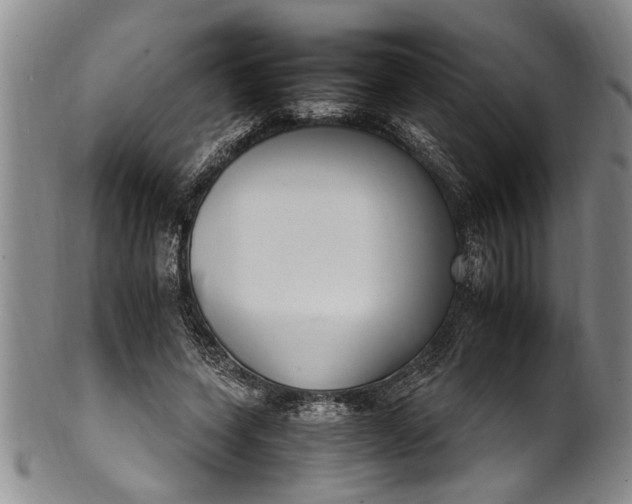 X0000102250543200808081413