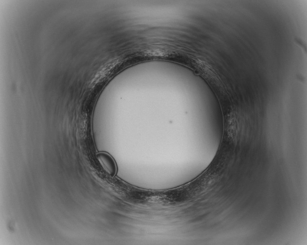 X0000102250544200808081413