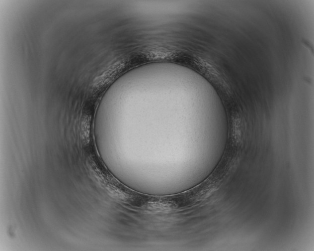 X0000102250545200808081413