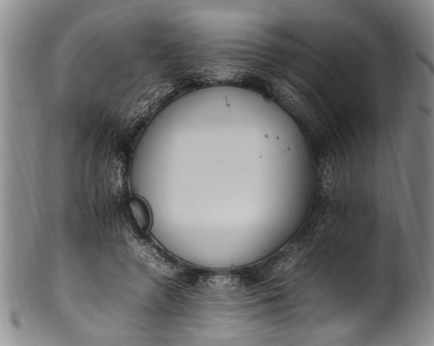 X0000102250546200808081413