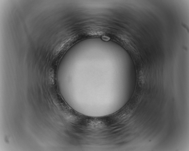 X0000102250547200808081413