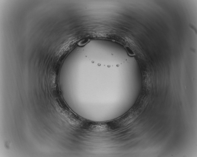 X0000102250548200808081413