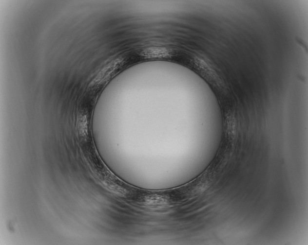 X0000102250549200808081413