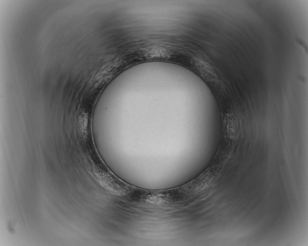 X0000102250550200808081413