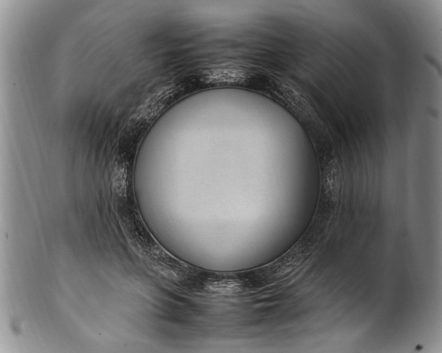 X0000102250551200808081413