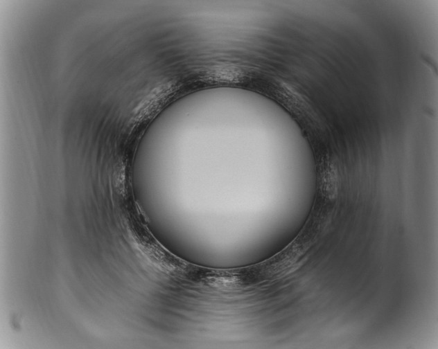 X0000102250552200808081413