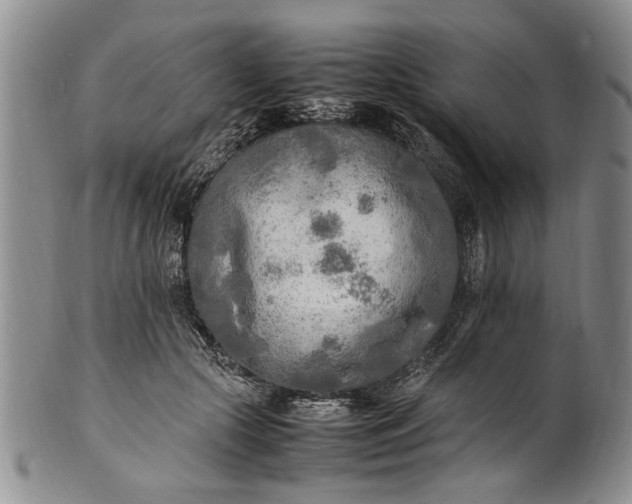 X0000102250553200808081413