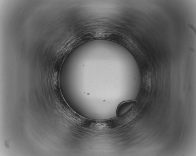 X0000102250554200808081413