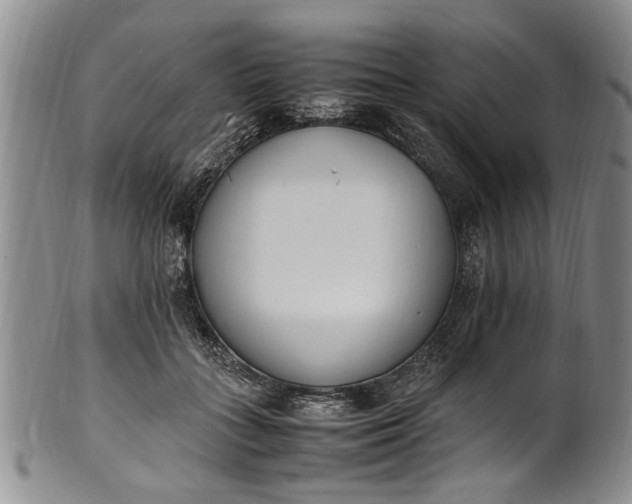 X0000102250555200808081413