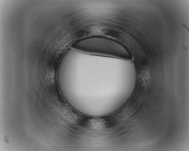 X0000102250556200808081413