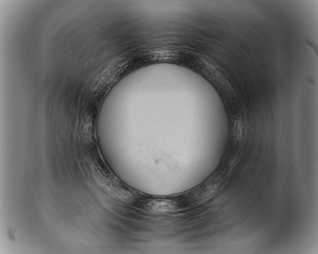 X0000102250557200808081413