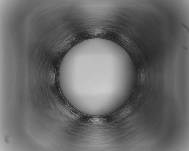 X0000102250558200808081413