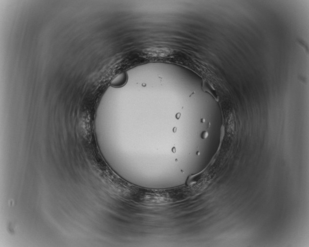 X0000102250559200808081413