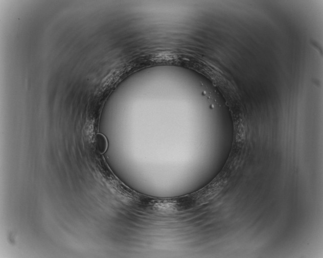 X0000102250560200808081413