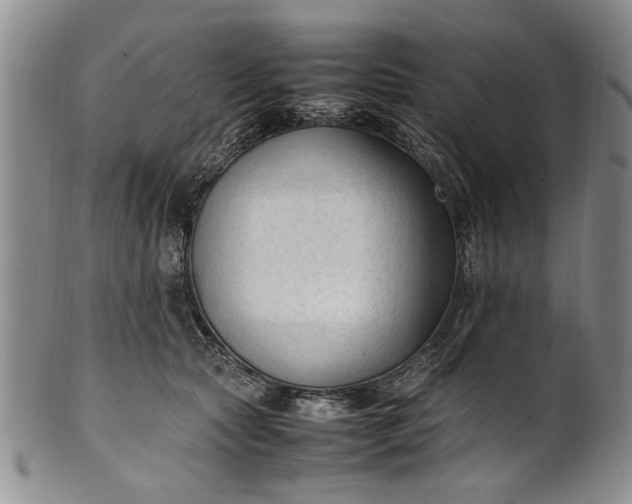 X0000102250561200808081413