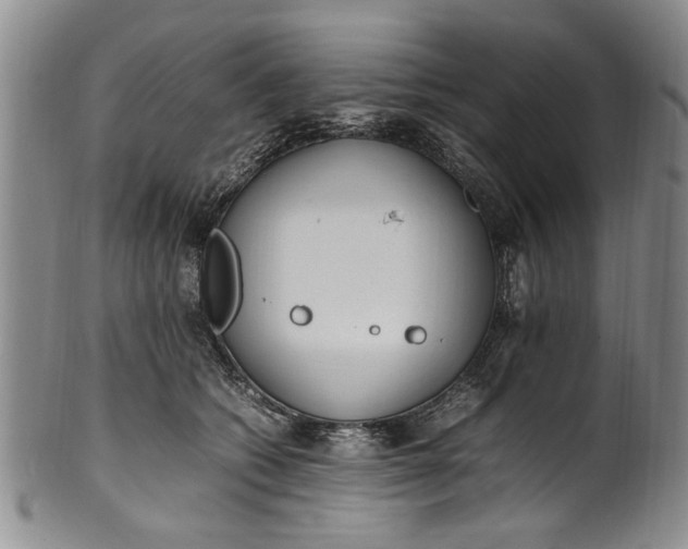 X0000102250562200808081413