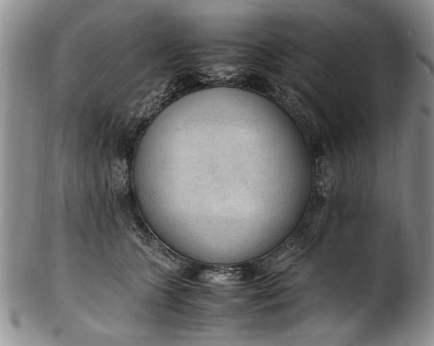 X0000102250563200808081413