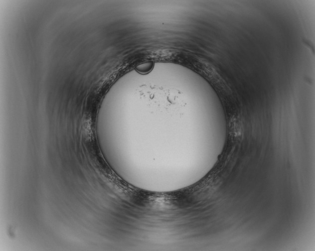 X0000102250564200808081413