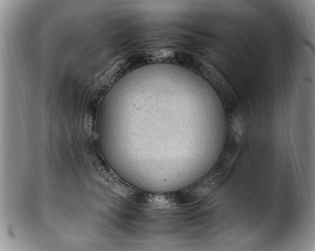 X0000102250565200808081413