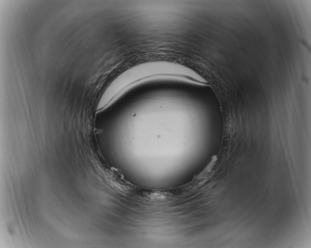 X0000102250566200808081413