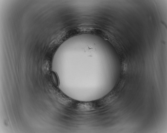 X0000102250567200808081413