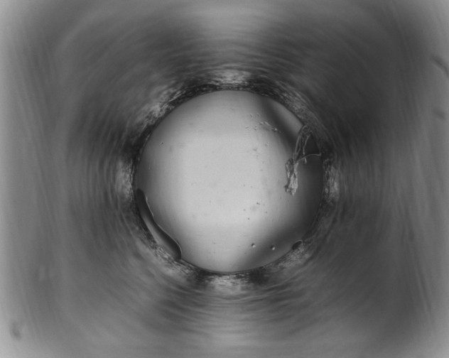 X0000102250568200808081413