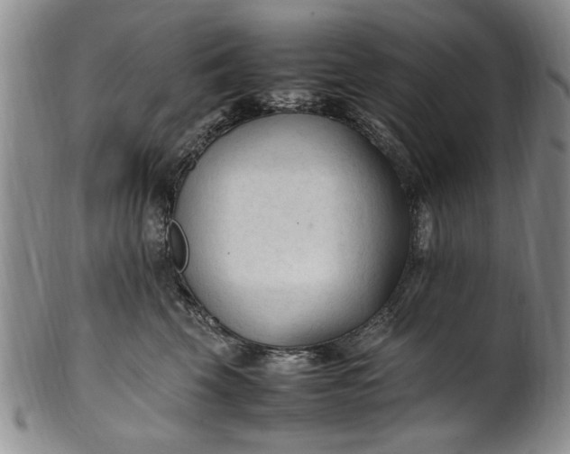 X0000102250569200808081413