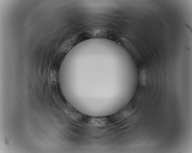 X0000102250571200808081413